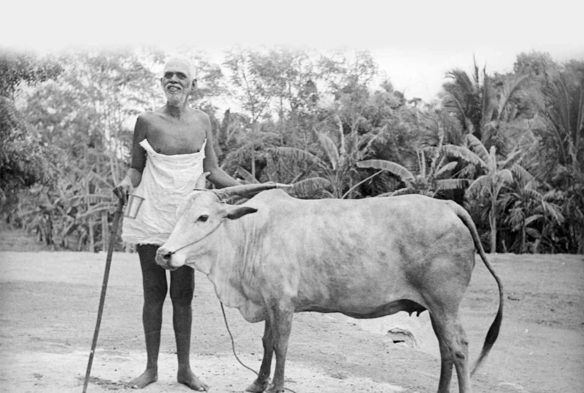 Govinda Turismo Viagem para India Ramana Maharshi