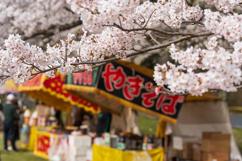 Govinda Turismo Roteiro Japão