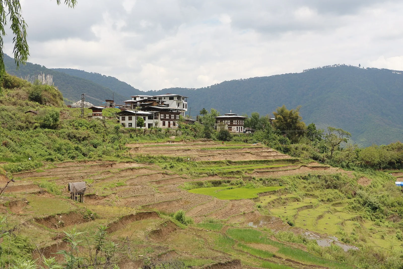 Vale de Punakha, no Butão, com o rio ao fundo