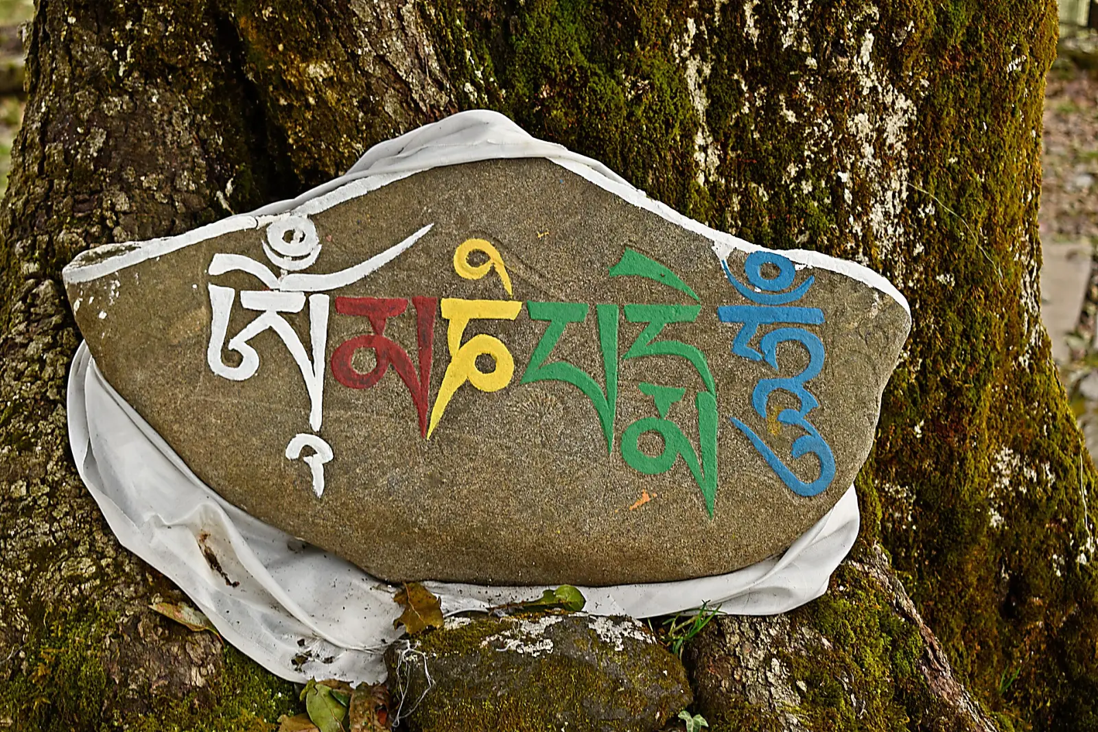 Pedras gravadas com mantras ao longo de um caminho