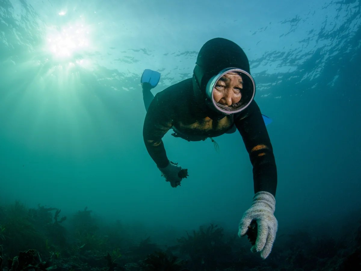 Uma haenyeo, mergulhadora de Jeju, no fundo do mar, com a luz do sol entrando pela água